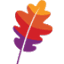 Apache基金会 logo